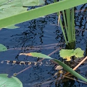 Photo submitted by Tammy