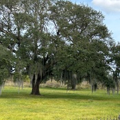 Photo submitted by Kila