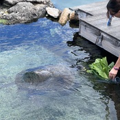 Photo submitted by Maureen