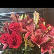 Photo submitted by Alicia