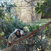 Photo submitted by Darleen