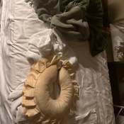 Photo submitted by Trish