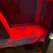 Photo submitted by Cristina