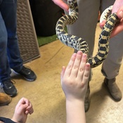 Photo submitted by Samantha