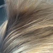 Photo submitted by Nicole