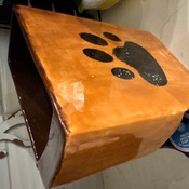 Photo submitted by dawnlopez