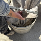 Photo submitted by Allyson