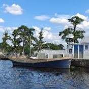 Photo submitted by Natasha