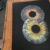 Photo submitted by Brittany