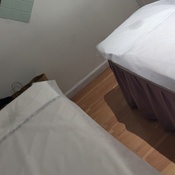 Photo submitted by Guest