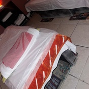 Photo submitted by Cassandra