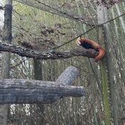 Photo submitted by Kat