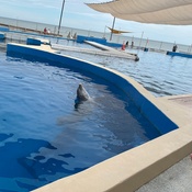 Photo submitted by KENNETH