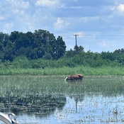 Photo submitted by Victoria