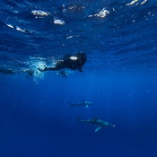 Photo submitted by Raianna