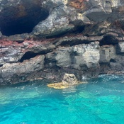 Photo submitted by Rafael