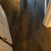 Photo submitted by Marina