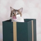 Photo submitted by Noor