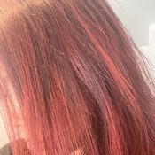Photo submitted by Katheren