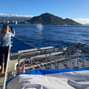 Photo submitted by Guest