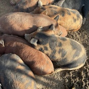 Photo submitted by ciera