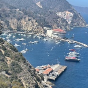 Photo submitted by Charlene