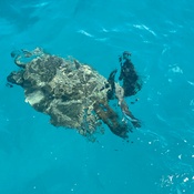 Photo submitted by Cecilia