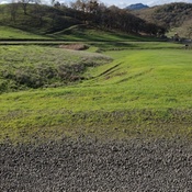 Photo submitted by Marie