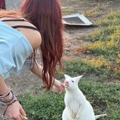 Photo submitted by Kim