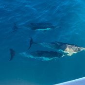 Photo submitted by Guest