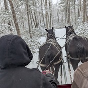 Photo submitted by Chrissy