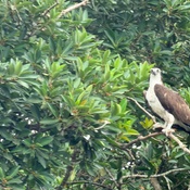 Photo submitted by Steven