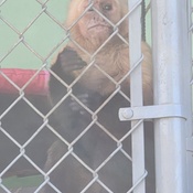 Photo submitted by Bradford