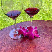 Photo submitted by Stephanie