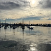 Photo submitted by Joe