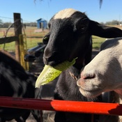 Photo submitted by Alexa