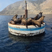 Photo submitted by Wendy