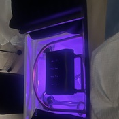 Photo submitted by Jennifer