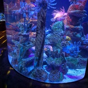 Photo submitted by Chris