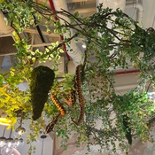 Photo submitted by elena