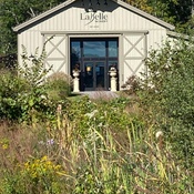 Photo submitted by Mary