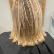 Photo submitted by Guest