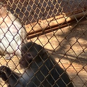 Photo submitted by Amanda