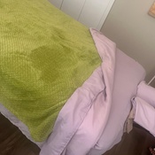 Photo submitted by Guest