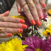 Photo submitted by Rashmi