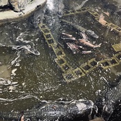 Photo submitted by Katrina