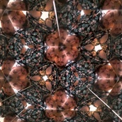 Photo submitted by Joemary