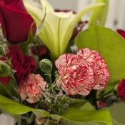 Photo submitted by Ivana