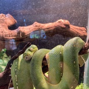 Photo submitted by Vera