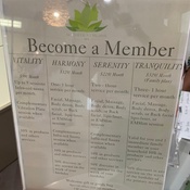 Photo submitted by Chineye